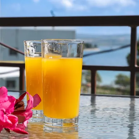 Apartment Nikoleta 5