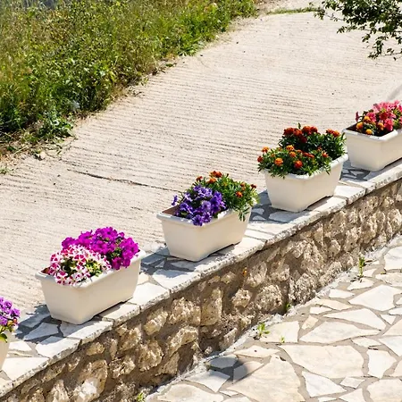 Nikoleta 5 * Nikiana